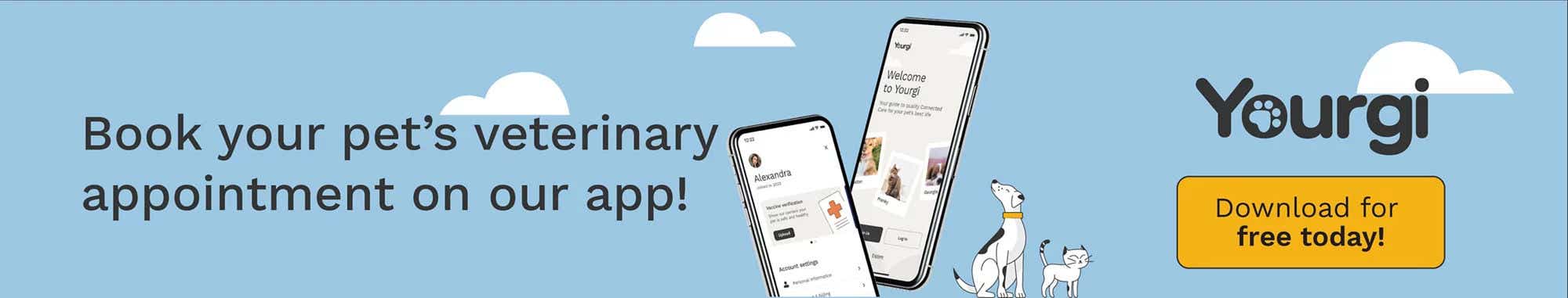 Veterinary yourgi banner